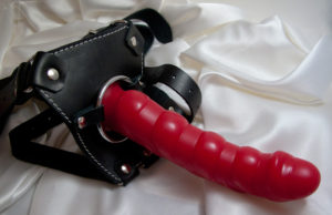 Anmeldelse: Kinky Monkey Black Harness
